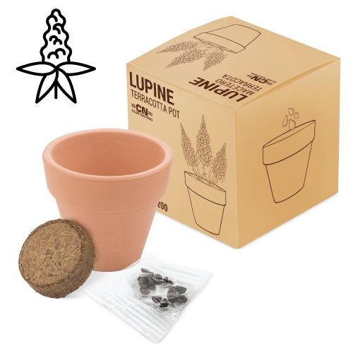 Maceta Terracota Lupine Lupine