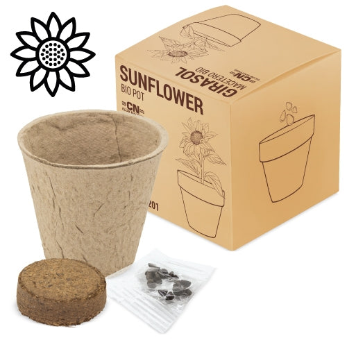 Maceta Bio Girasol Girasol