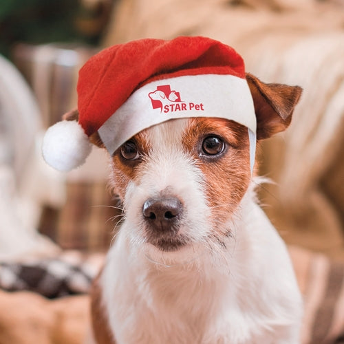 Gorro Navideño Para Mascotas