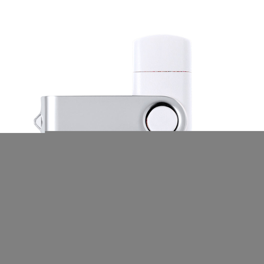 Memoria USB (lote de 50)