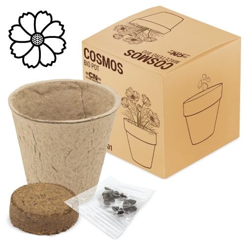 Maceta Bio Cosmos "Ramillete"