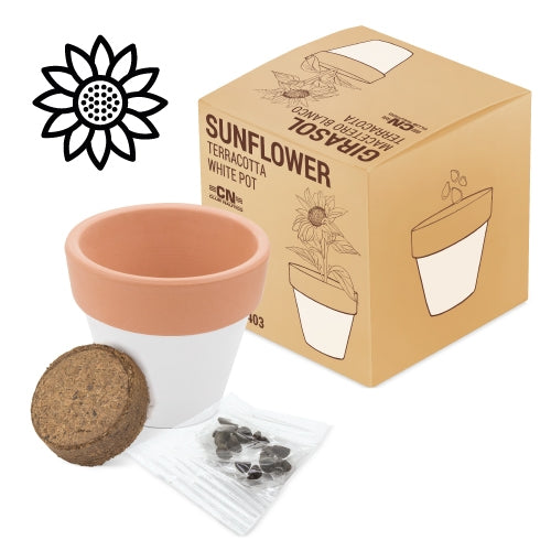 Maceta Terracota "White"