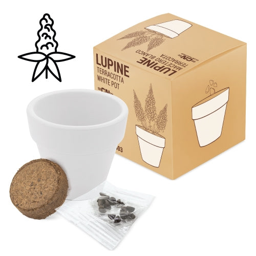 Maceta Terracota "White"