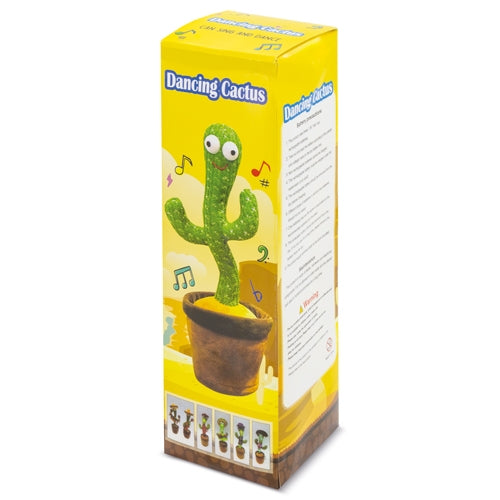 Cactus Bailarin "Panchito"