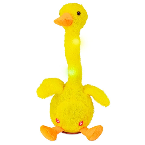 Pato Bailarín "Duky"