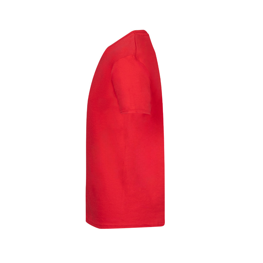 Camiseta Niño Color (lote de 72)