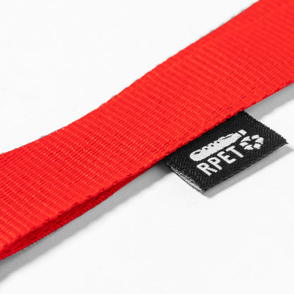 Lanyard (lote de 10)