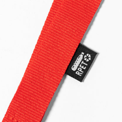 Lanyard (lote de 10)
