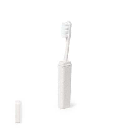 Cepillo Dientes (lote de 50)