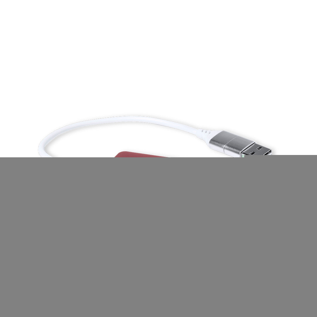 Puerto USB (lote de 50)