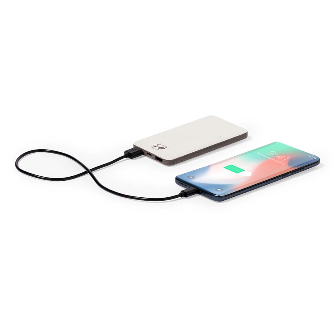 Power Bank (lote de 25)
