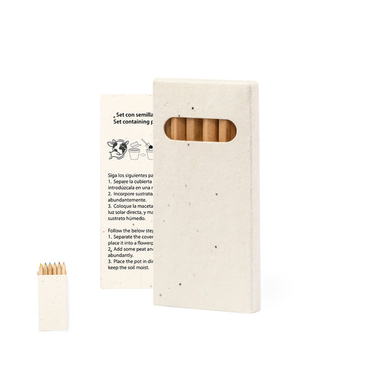 Caja Lápices Semillas (lote de 25)