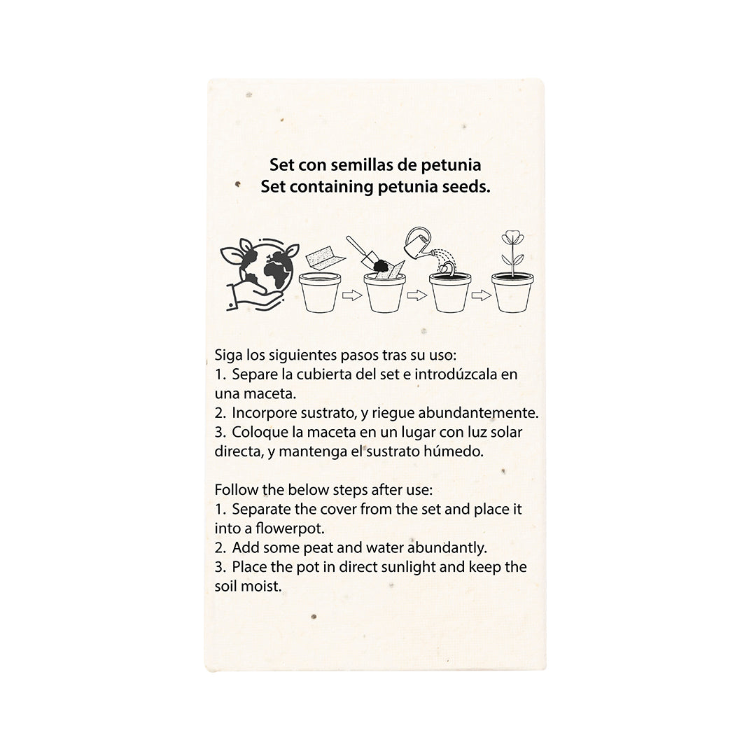 Caja Ceras Semillas (lote de 25)