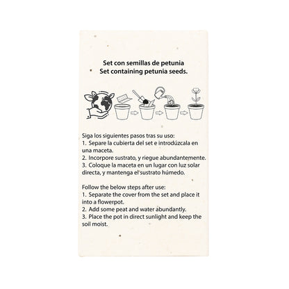 Caja Ceras Semillas (lote de 25)