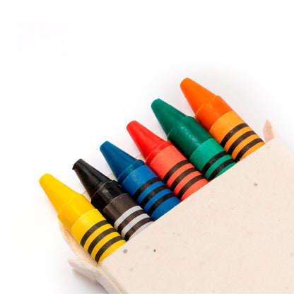 Caja Ceras Semillas (lote de 25)