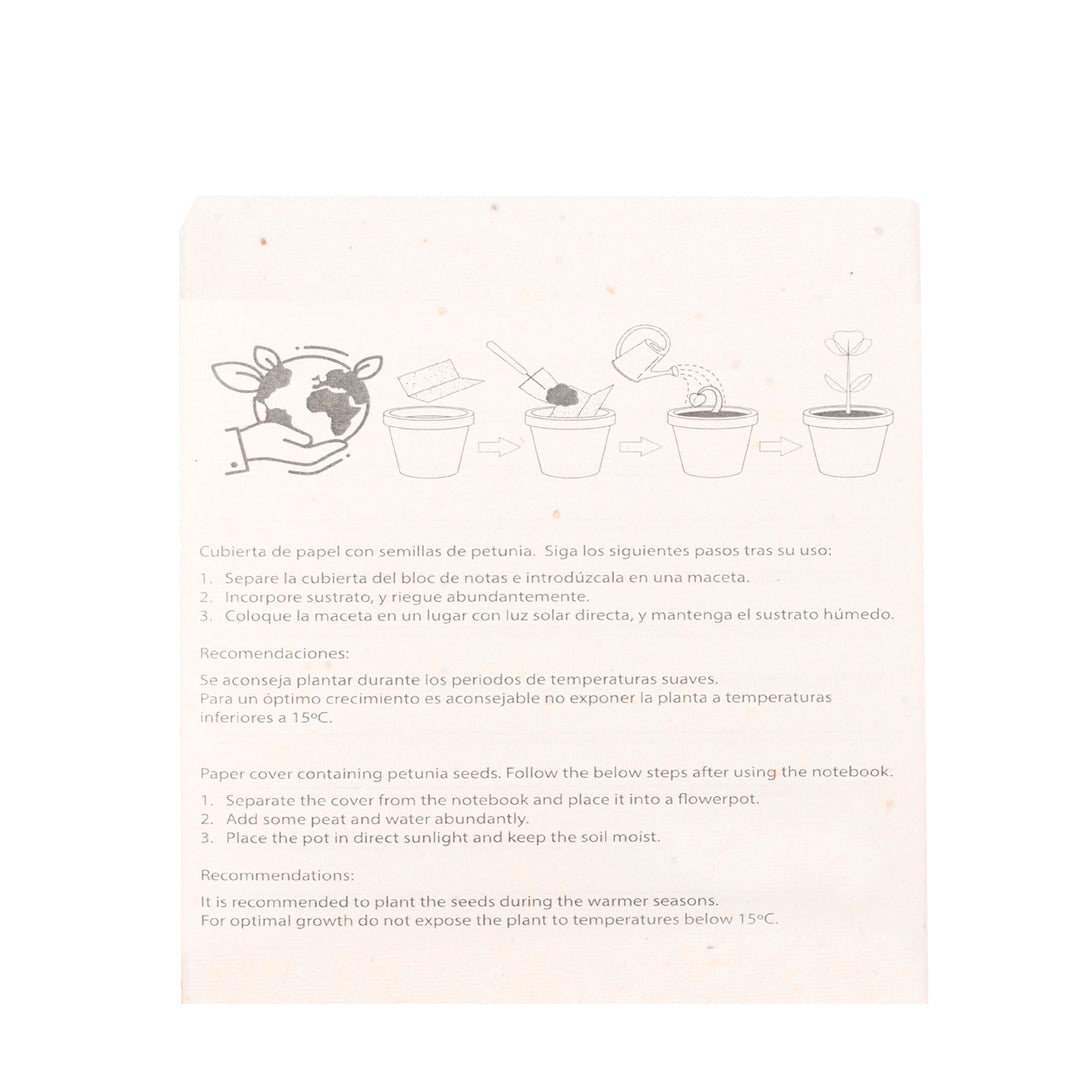 Set Semillas (lote de 50)