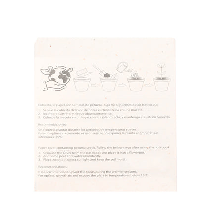 Set Semillas (lote de 50)