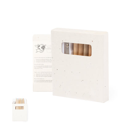 Set Semillas (lote de 50)