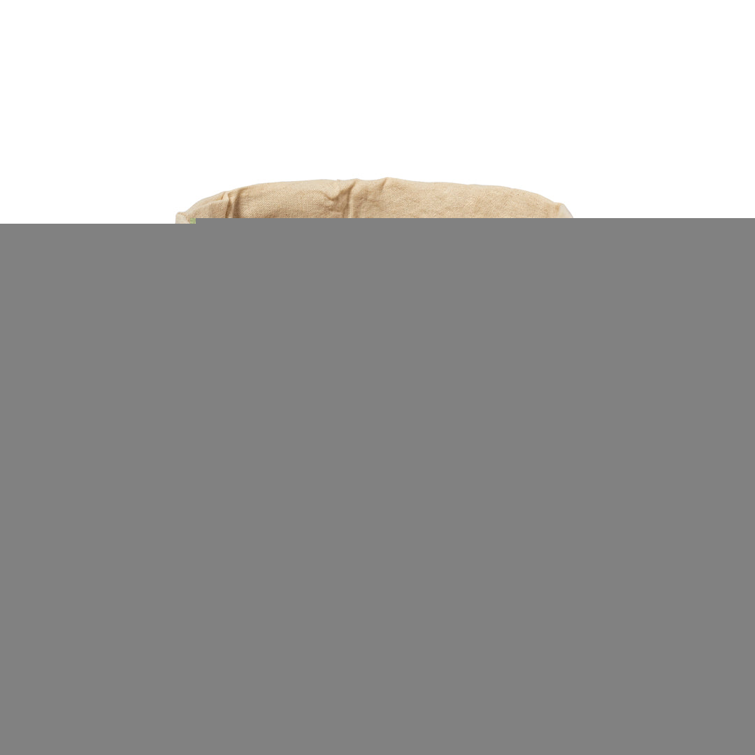 Panera (lote de 100)