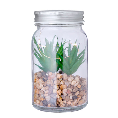 Planta Decorativa (lote de 15)