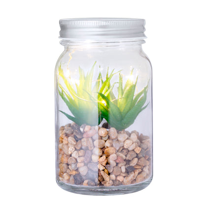 Planta Decorativa (lote de 15)