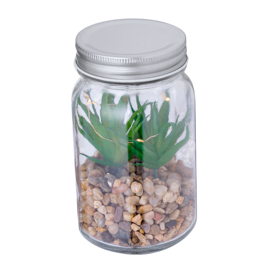 Planta Decorativa (lote de 15)