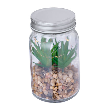 Planta Decorativa (lote de 15)