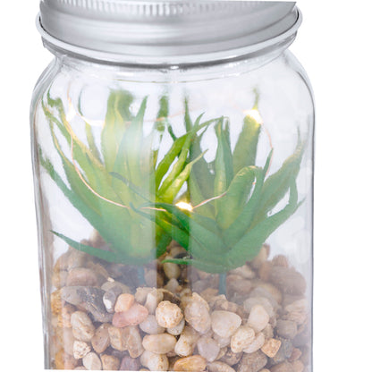 Planta Decorativa (lote de 15)
