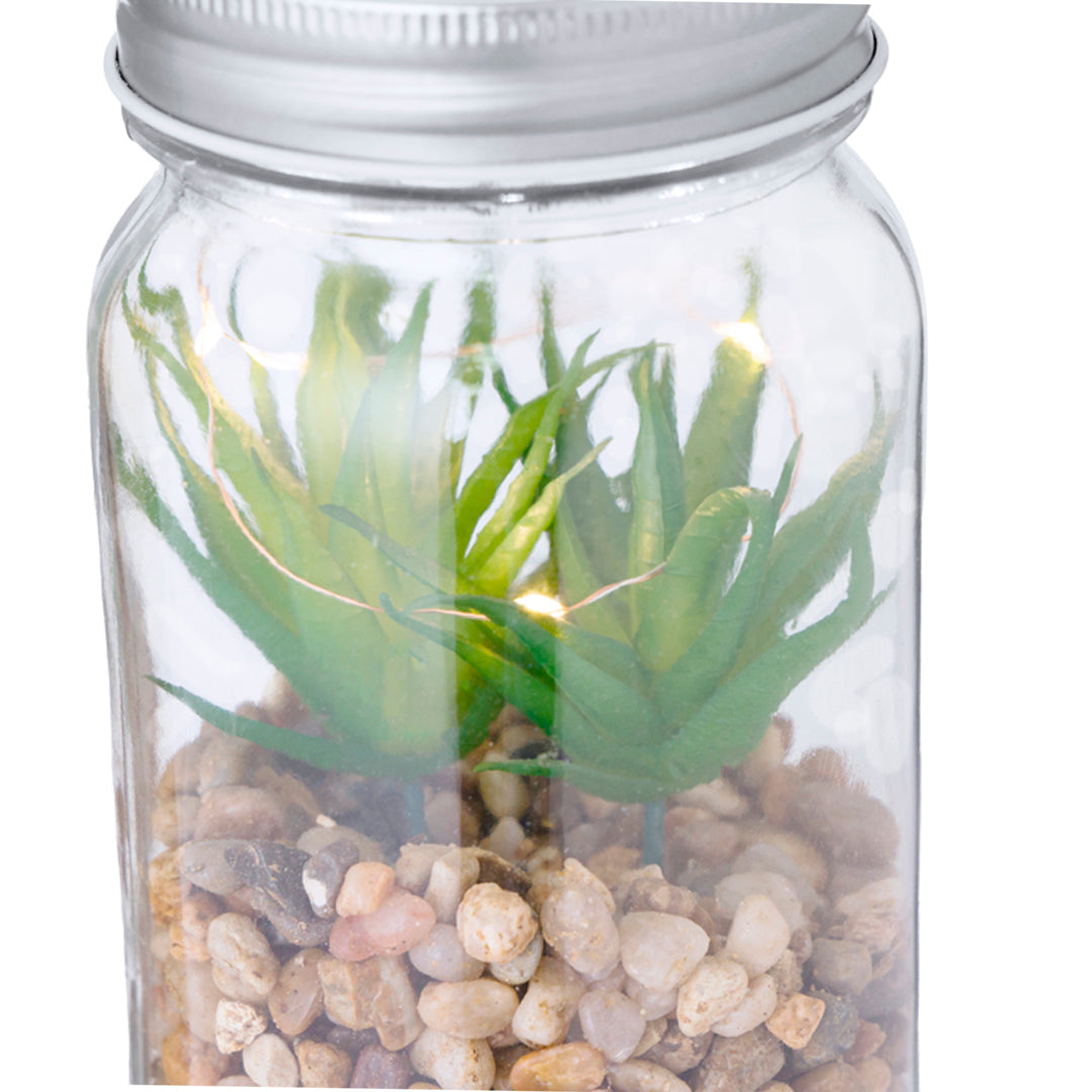 Planta Decorativa (lote de 15)