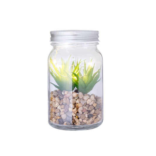 Planta Decorativa (lote de 15)
