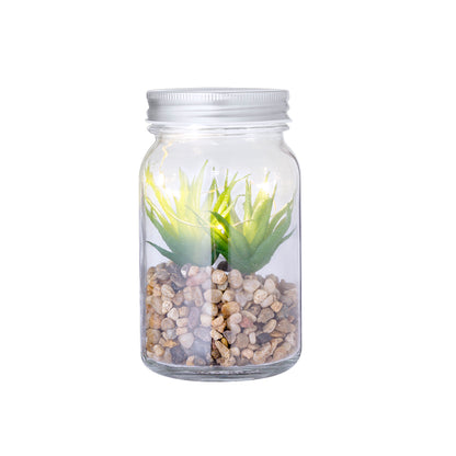 Planta Decorativa (lote de 15)