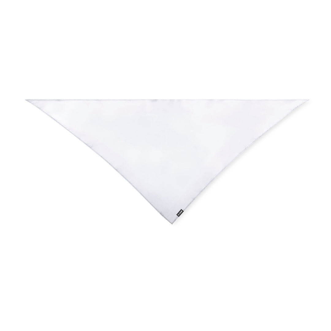 Pañoleta (lote de 10)