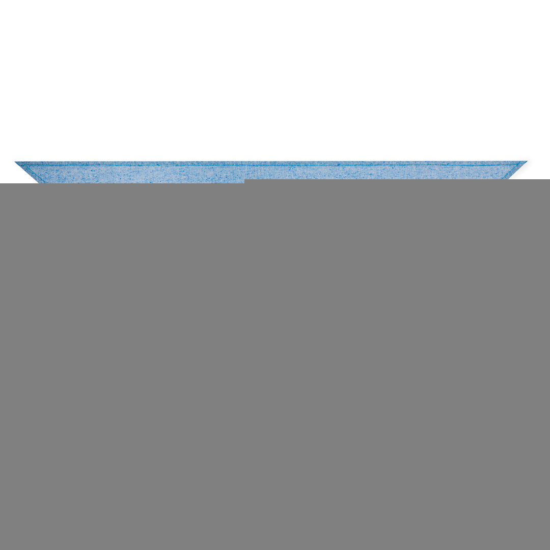 Pañoleta (lote de 50)