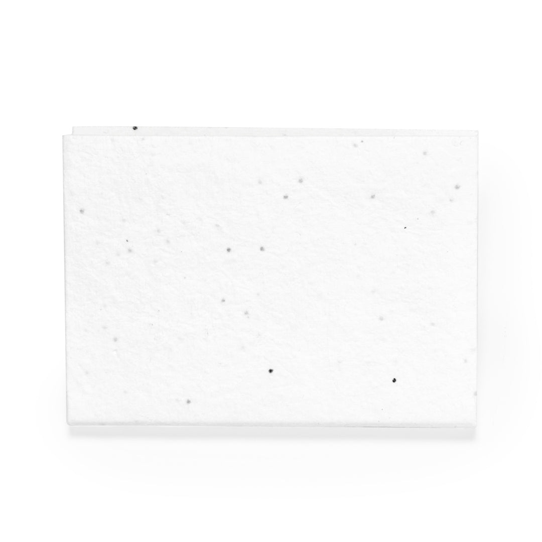 Bloc Notas Semillas (lote de 100)