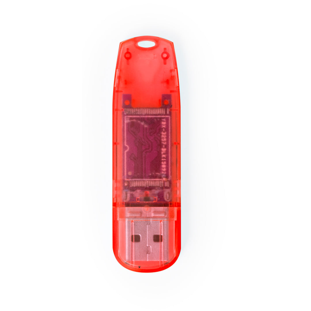 Memoria USB (lote de 50)