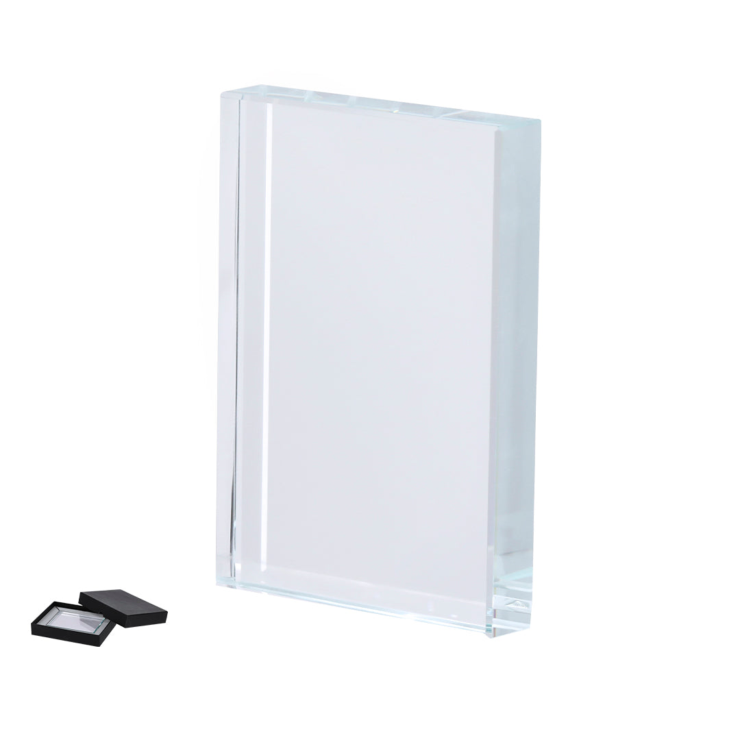Placa (lote de 20)