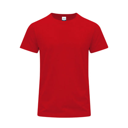 Camiseta Adulto Color (lote de 100)