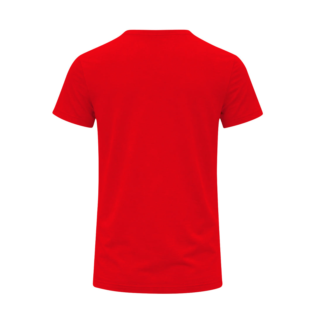 Camiseta Adulto Color (lote de 50)