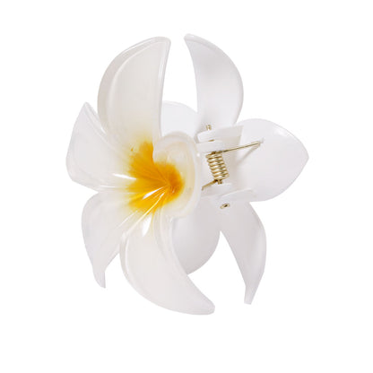 Pinza (lote de 50)