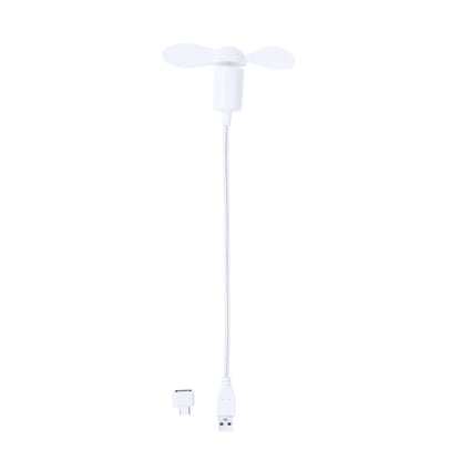 Ventilador (lote de 50)
