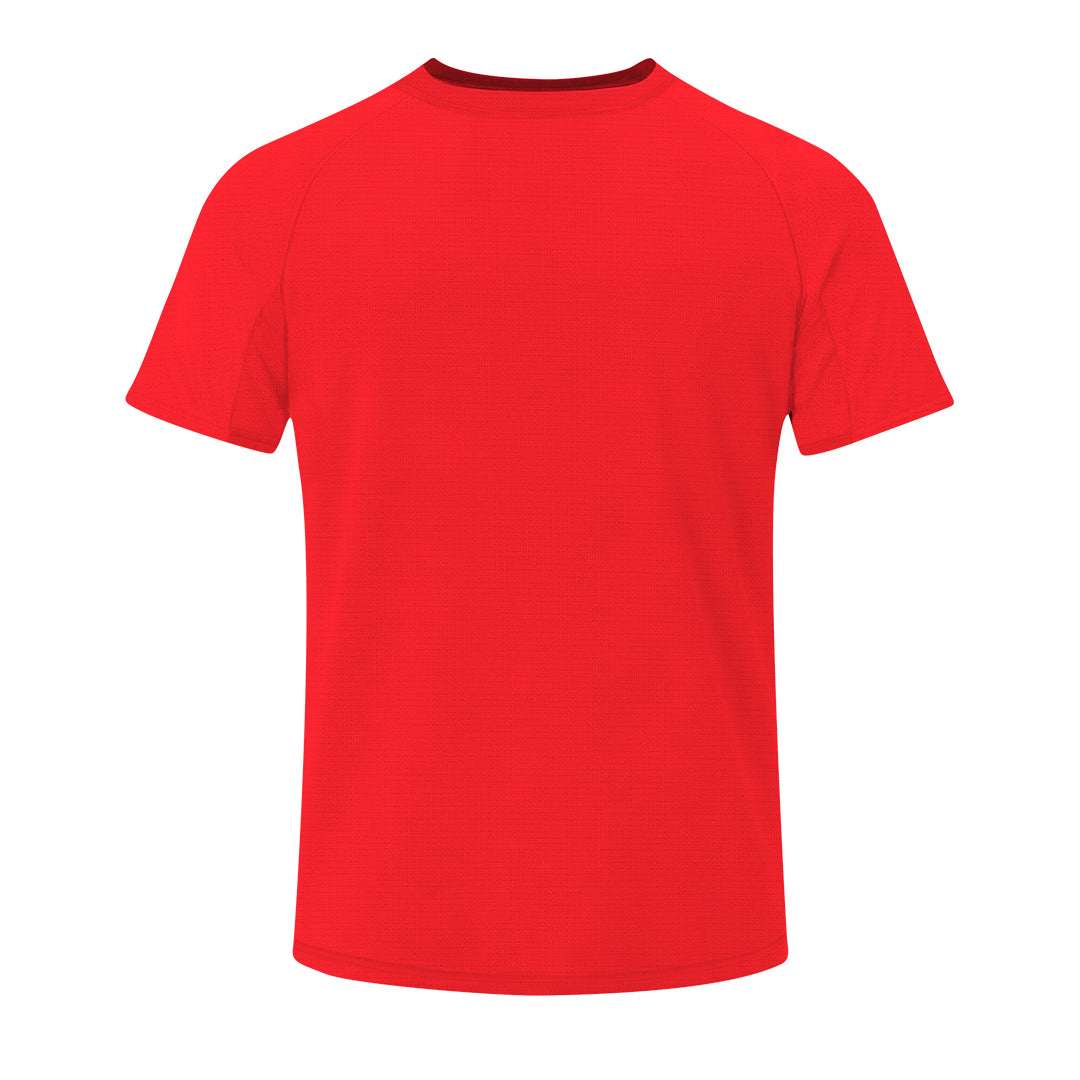 Camiseta Adulto (lote de 10)