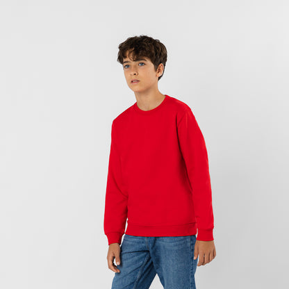 Sudadera Niño (lote de 5)