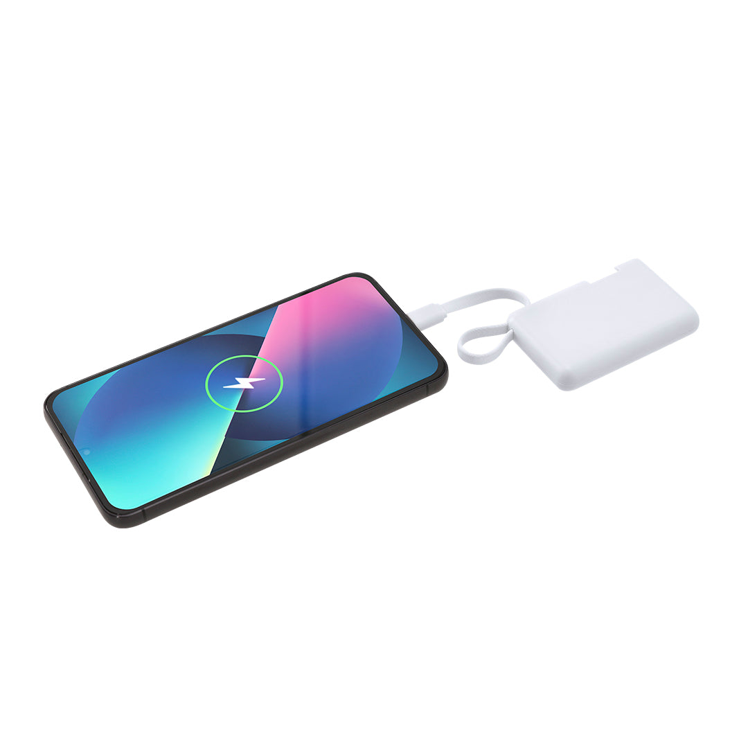 Power Bank (lote de 50)