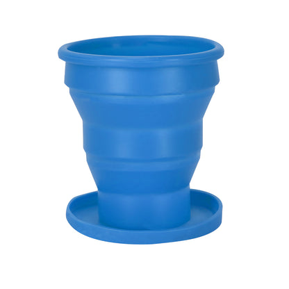 Set (lote de 50)