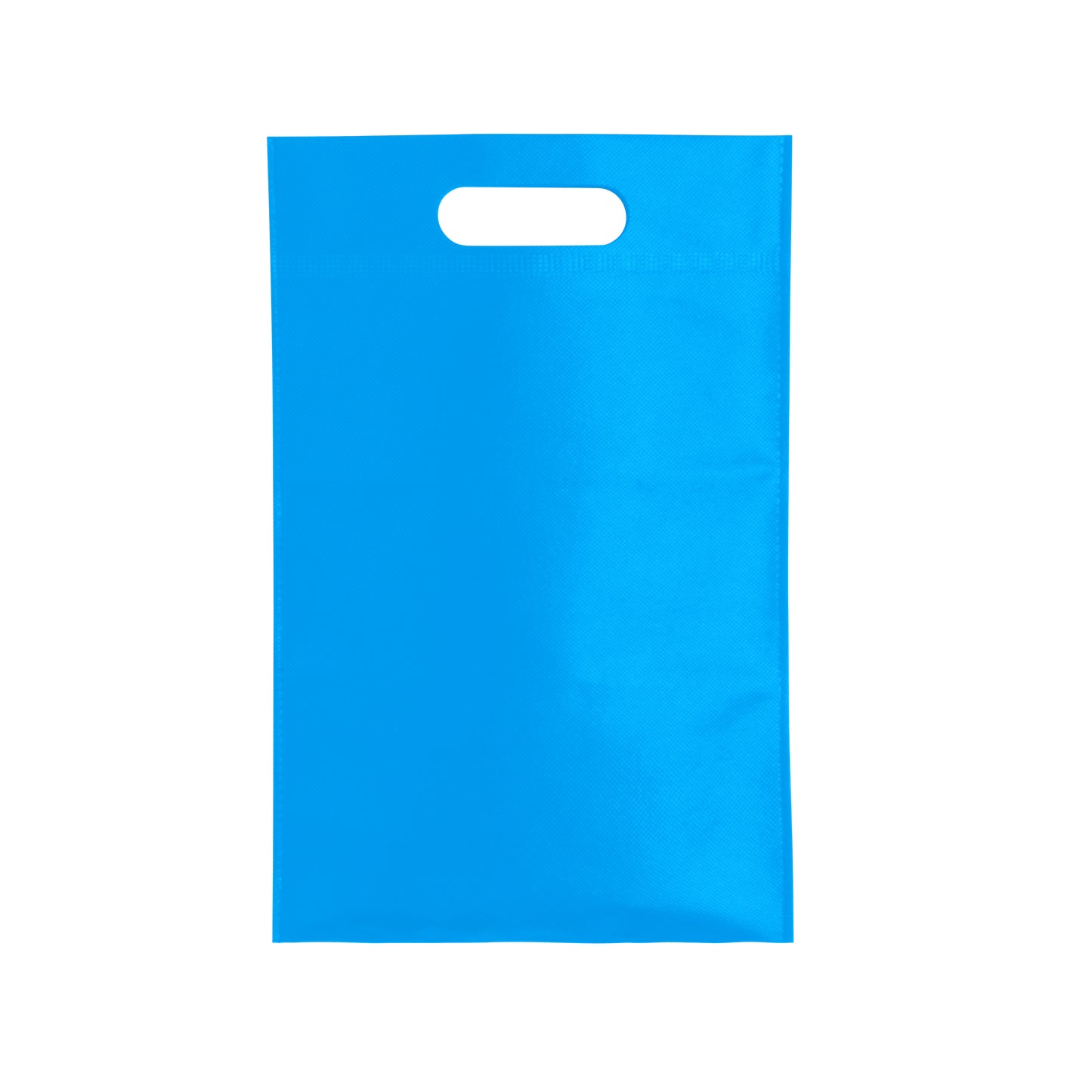 Bolsa (lote de 20)