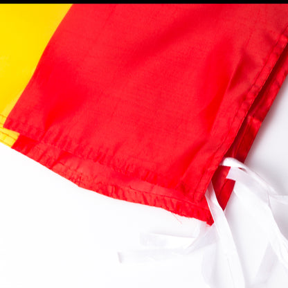 Bandera (lote de 10)