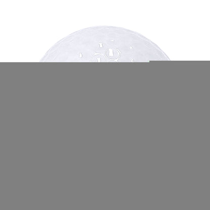 Bola Golf (lote de 10)