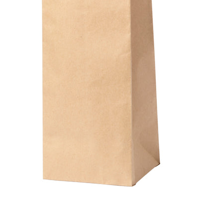 Bolsa (lote de 100)