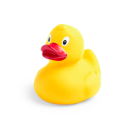 Pato (lote de 50)
