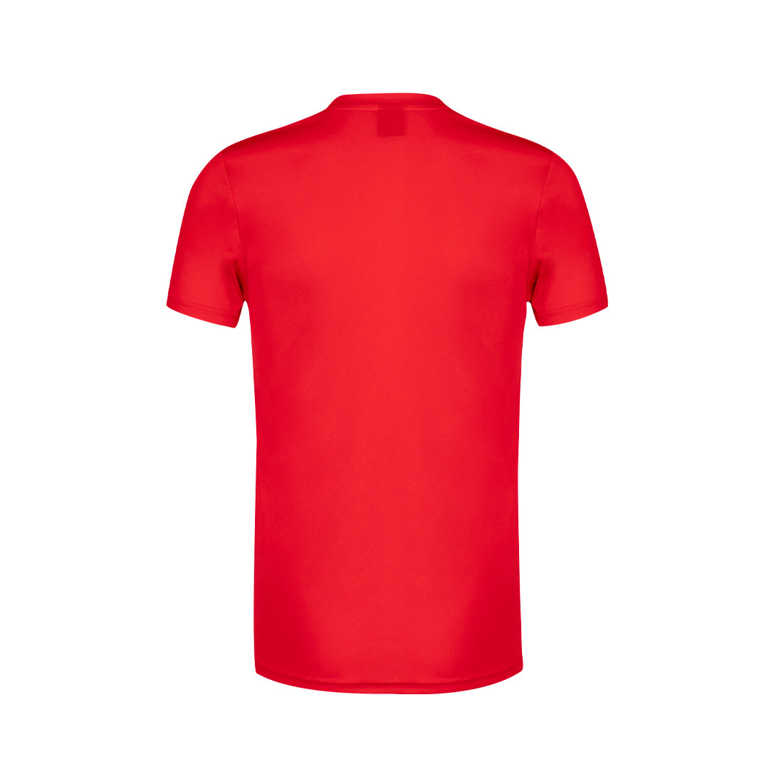Camiseta Adulto (lote de 10)